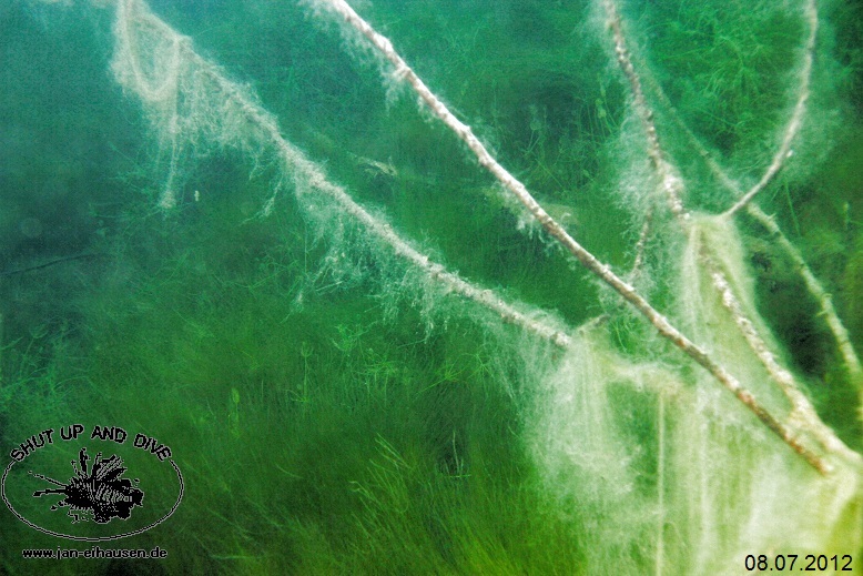 TG377-Sundhaeuser See 2012-07-08-003 (15)